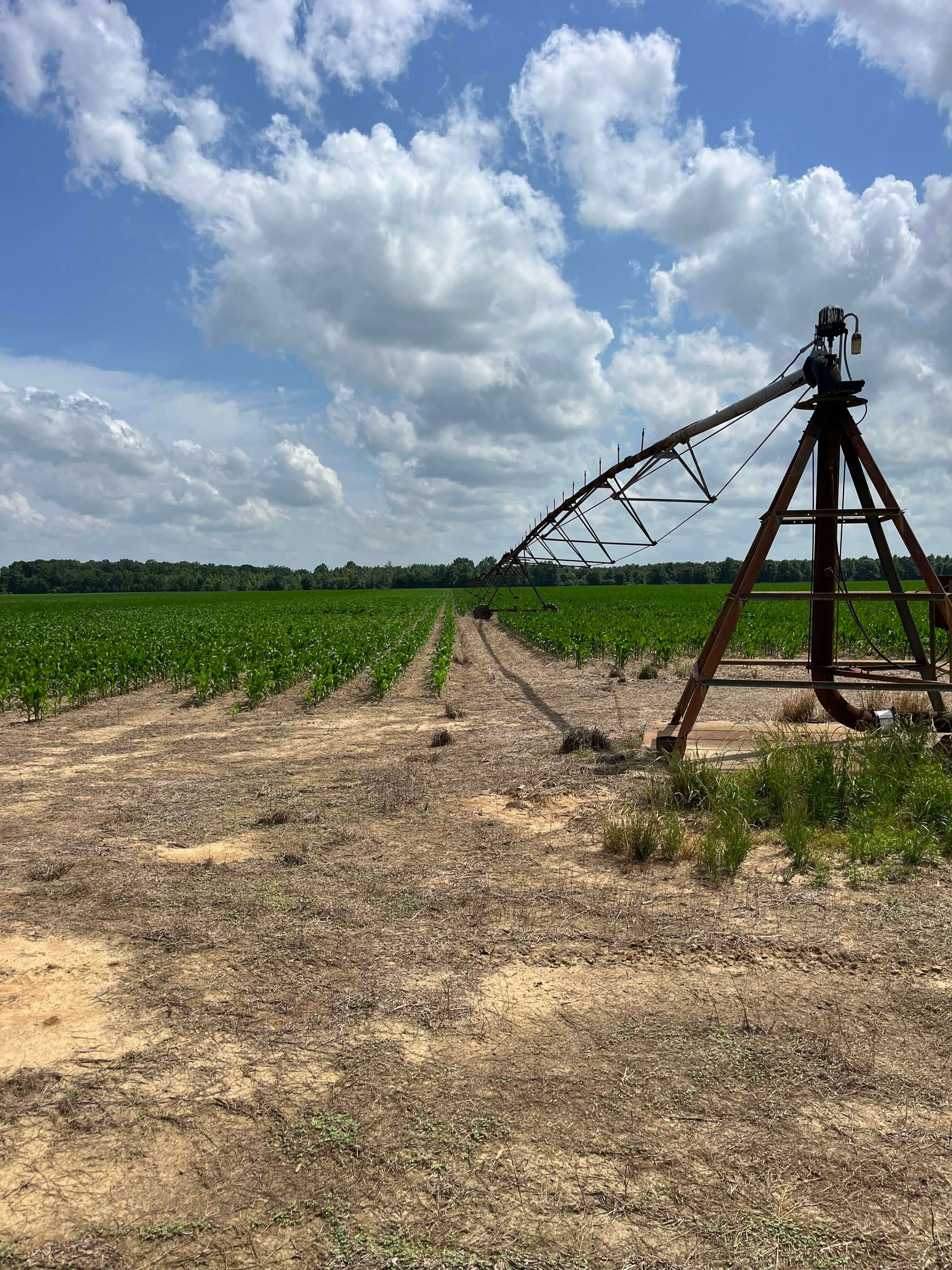Franklin 578 – Highly Productive, Irrigated Farmland in Franklin Parish, LA